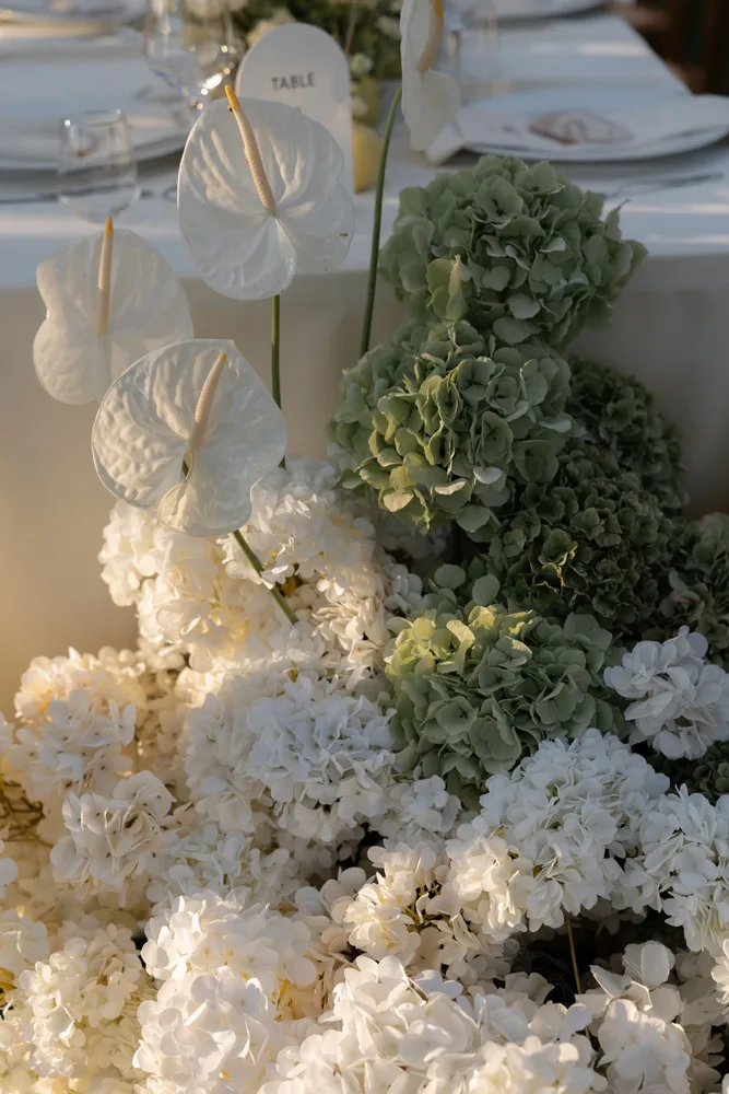 Flottie wedding ceremony decor and organisation for "Where Light Lingers" celebration with bride and groom at Talici Hill Villa Montenegro