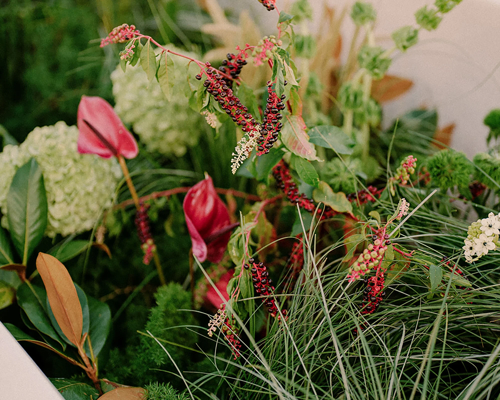 Moody and rich berry-toned bridal bouquet, wedding on Mamula Island Montenegro