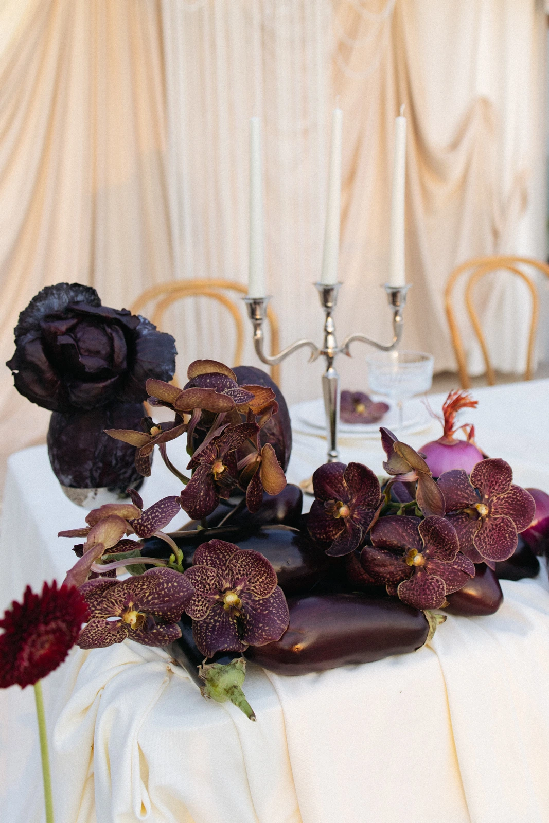 Flottie Shades of Burgundy wedding decor and organisation: close-up of a dramatic tablescape arrangement featuring vibrant red gerberas, fresh eggplants, sliced red cabbage, and a silver candelabra